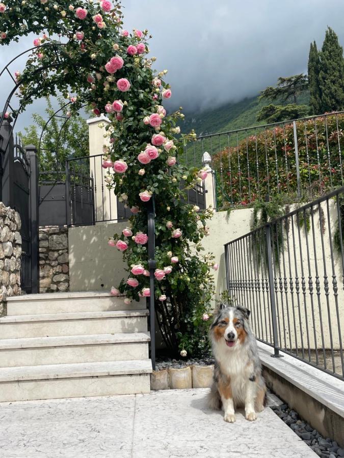 Corte Caiar Bed&Breakfast Caprino Veronese Eksteriør billede